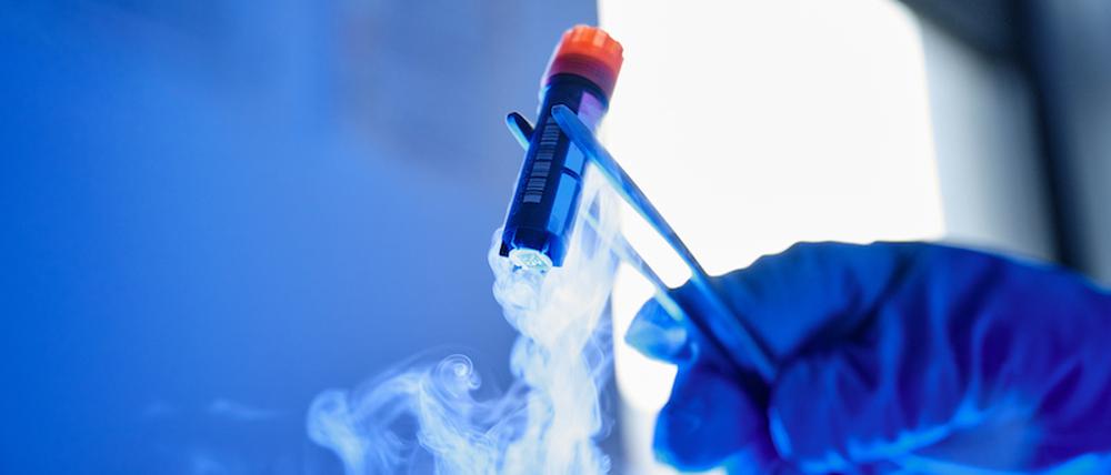 BeimFoodtech Bluu Biosciences forscht man am Texturen aus der Petrischale, die wie Fisch schmecken sollen.