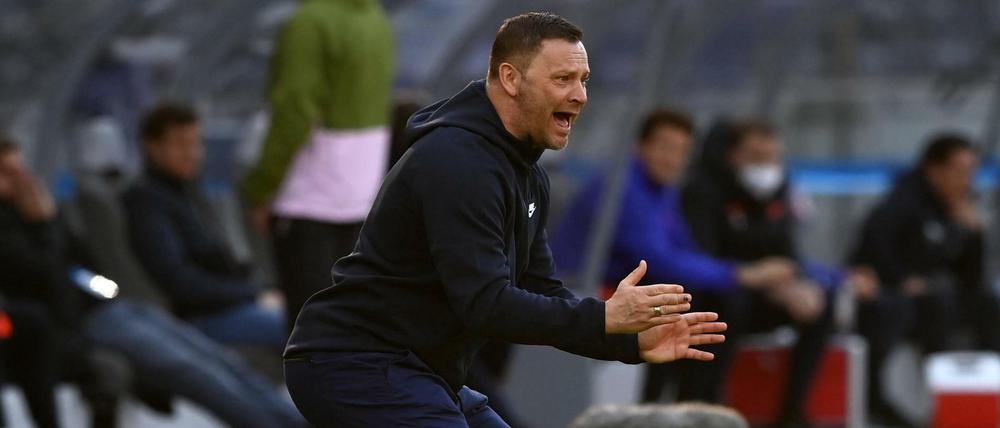 Engagiert wie immer. Pal Dardai arbeitet für den Klassenerhalt mit Hertha BSC.