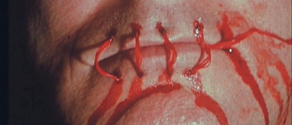 Blutiges Schweigen. David Wojnarowicz’ Film „A Fire in My Belly“ entstand 1986/87 kurz nach dem Aidstod seines Freundes Peter Hujar. Er gab der Ausstellung in der Stoschek Collection ihren Titel. 