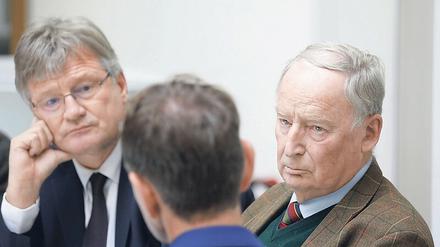 Parteichef Meuthen hat sich mit seinem Co-Parteichef Tino Chrupalla und Fraktionschef Alexander Gauland zerstritten.