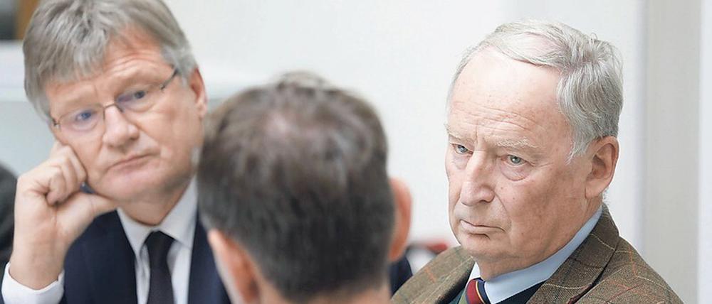 Parteichef Meuthen hat sich mit seinem Co-Parteichef Tino Chrupalla und Fraktionschef Alexander Gauland zerstritten.