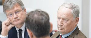 Parteichef Meuthen hat sich mit seinem Co-Parteichef Tino Chrupalla und Fraktionschef Alexander Gauland zerstritten.
