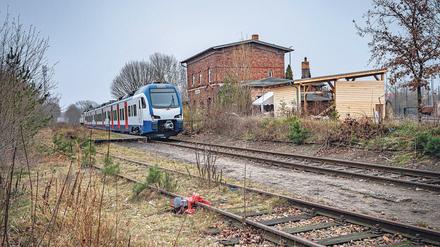 Die Heidekrautbahn zwischen Berlin-Wilhelmsruh und der Schorfheide soll laut Minister Guido Beermann (CDU) 2024 wieder fahren. 
