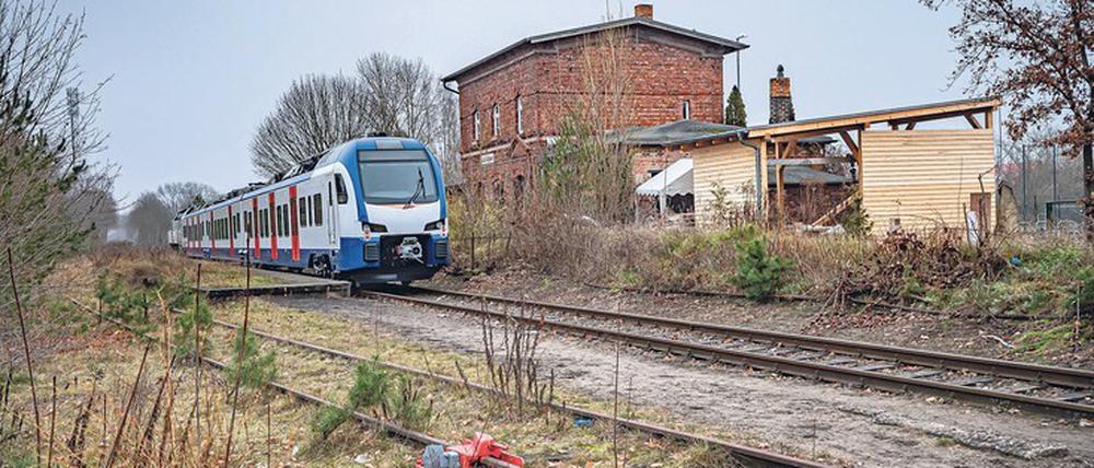 Die Heidekrautbahn zwischen Berlin-Wilhelmsruh und der Schorfheide soll laut Minister Guido Beermann (CDU) 2024 wieder fahren.