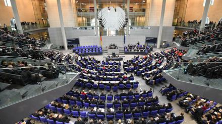 Menschen mit körperlichen oder geistigen Beeinträchtigungen sind in Bundes- oder Landesparlamenten noch immer rar.