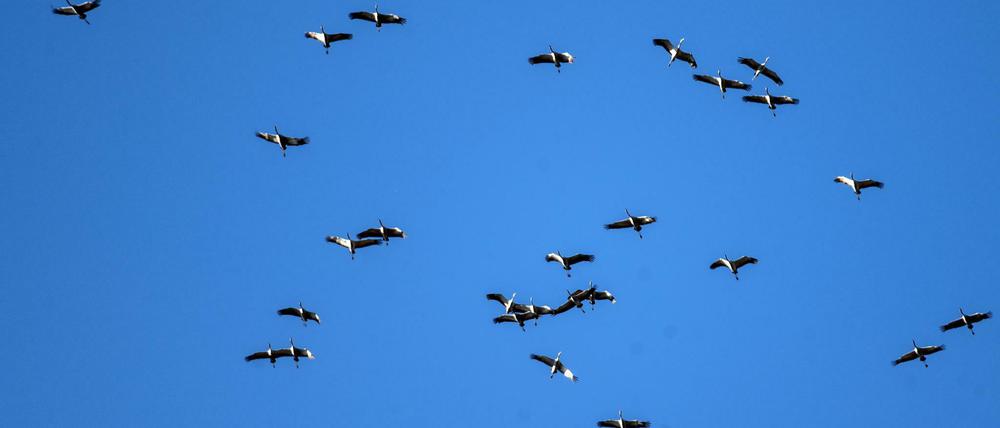 Die Schönheit am Himmel