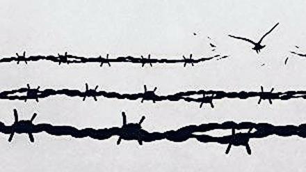 Deutsche Übersetzung von „Die Frauen von Birkenau“