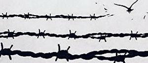 Deutsche Übersetzung von „Die Frauen von Birkenau“