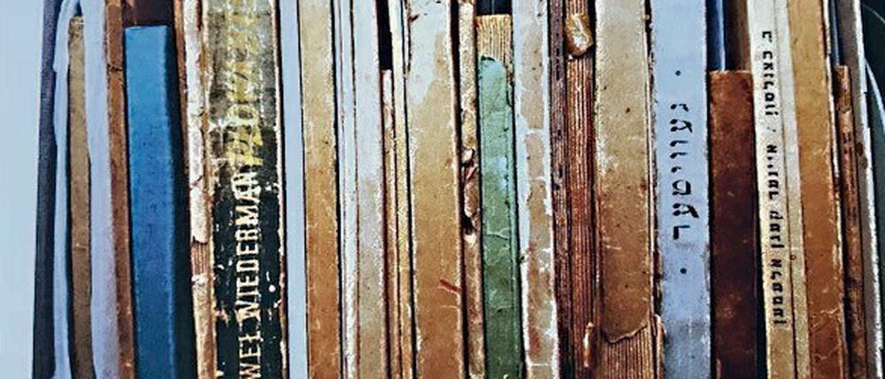 Zahn der Zeit. Regal im Stabi-Magazin mit Büchern der Displaced Persons.