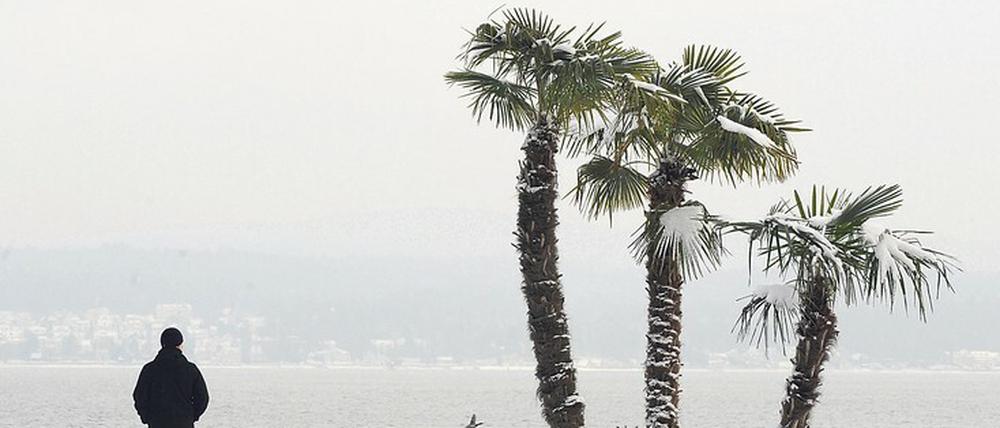Ungeheizt. Das komplette Ausbleiben des Golfstroms würde Mitteleuropa dauerhaft arktische Winter bescheren. In der Erdgeschichte ist so etwas bereits vorgekommen.