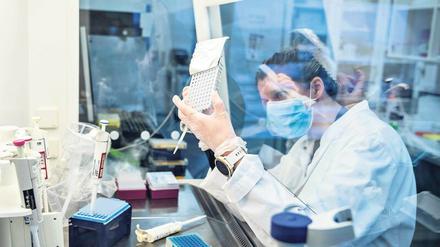 Mutanten. Das einzig Konstante des Coronavirus ist, dass es sich stetig wandelt. So haben einige Sars-CoV-2-Viren der B117-Variante zusätzlich zu den bisherigen rund 20 Mutationen noch eine weitere angehäuft, zeigen Tests. Es wird nicht die letzte gewesen sein. Foto: AFP