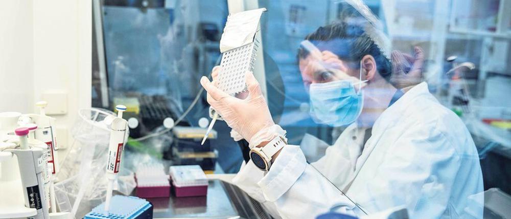 Mutanten. Das einzig Konstante des Coronavirus ist, dass es sich stetig wandelt. So haben einige Sars-CoV-2-Viren der B117-Variante zusätzlich zu den bisherigen rund 20 Mutationen noch eine weitere angehäuft, zeigen Tests. Es wird nicht die letzte gewesen sein. Foto: AFP