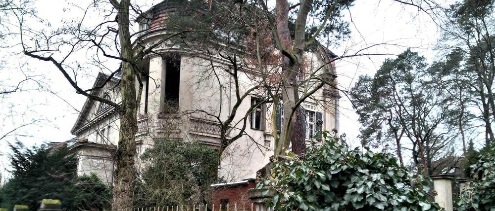 Der Gartenarchitekt Hans Hallervorden entwarf einst die Grünanlage der Villa Hoffmann.