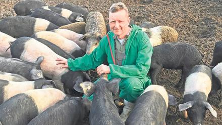 Michael Staar und seine Schweine: Die Tiere leben ausschließlich im Freien, doch nicht mehr lange. 