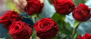 Bei "The Bachelor" geht es darum, die Rose eines Junggesellen zu erhalten.