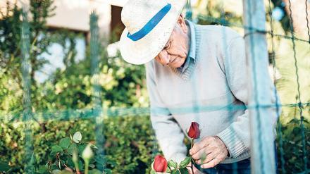 Manches verlernt man nicht. Wie man Blumen pflegt, bleibt auch Demenzkranken oft im Gedächtnis. 