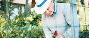 Manches verlernt man nicht. Wie man Blumen pflegt, bleibt auch Demenzkranken oft im Gedächtnis. 