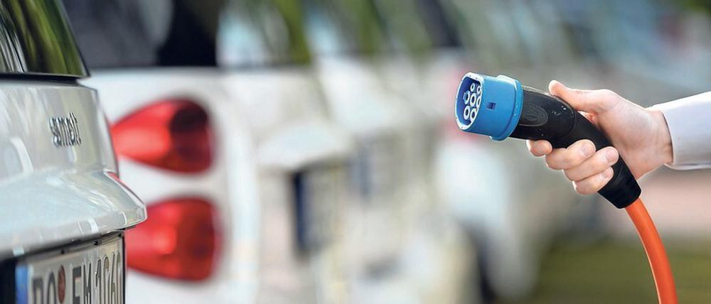 Auch der Fuhrpark soll grün sein. CSR-Verantwortliche versuchen, ihr Unternehmen rundum klimaneutral und sozial aufzustellen. 