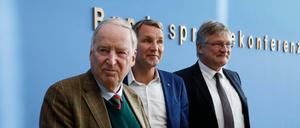 Der Verfassungsschutz will die AfD in Gänze beobachten. Die Partei wehrt sich. 