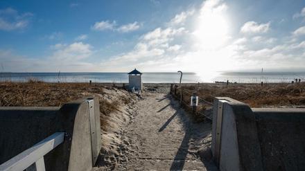 Ein menschenleerer Strandzugang an der Ostsee