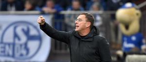 Ralf Rangnick kennt sich bei Schalke 04 gut aus und arbeitete schon in der Vergangenheit in Gelsenkirchen.