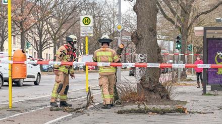 Im Sturm. Bei Gefahr kommt die Feuerwehr, wie am Freitag. 