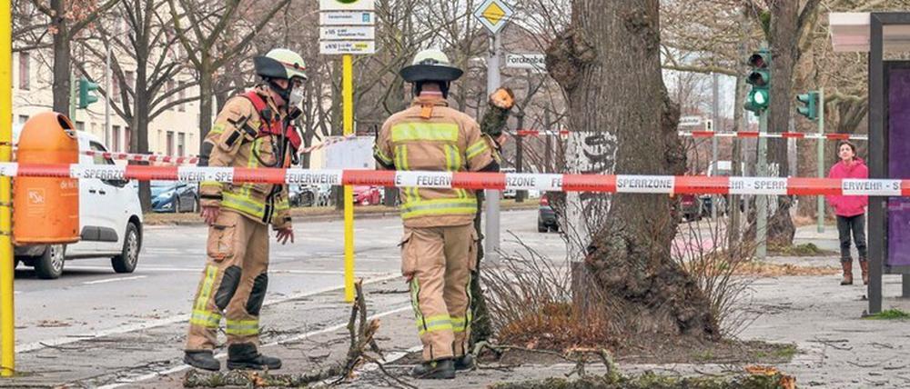 Im Sturm. Bei Gefahr kommt die Feuerwehr, wie am Freitag. 