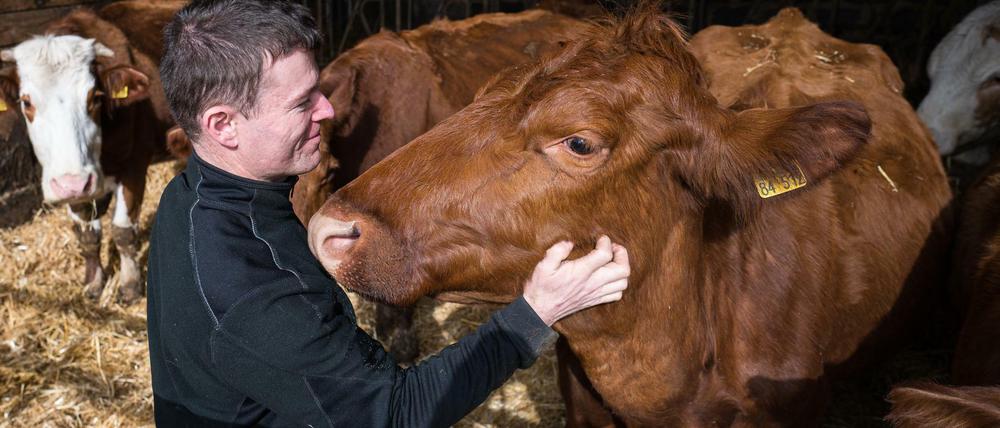 Wer Wert auf gesundes Fleisch und Tierwohl legt, kann direkt beim Erzeuger kaufen, zum Beispiel auf Dirk Fiedelaks Hof im Saarland.