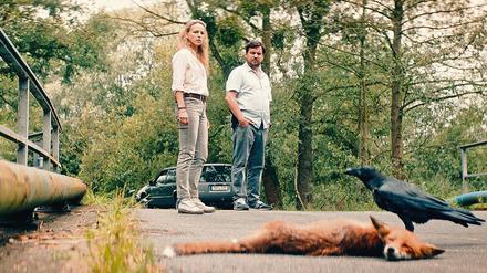 Fressen und gefressen werden. Die Kommissare Lona Mendt (Petra Schmidt-Schaller) und Frank Elling (Sascha Alexander Gersak) kommen an ihre Grenzen. 