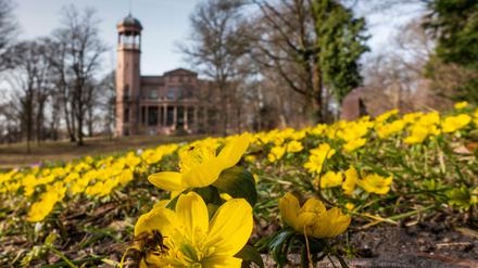 Die Schönheit am Stadtrand: das alte Schloss Biesdorf.