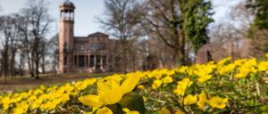 Die Schönheit am Stadtrand: das alte Schloss Biesdorf.