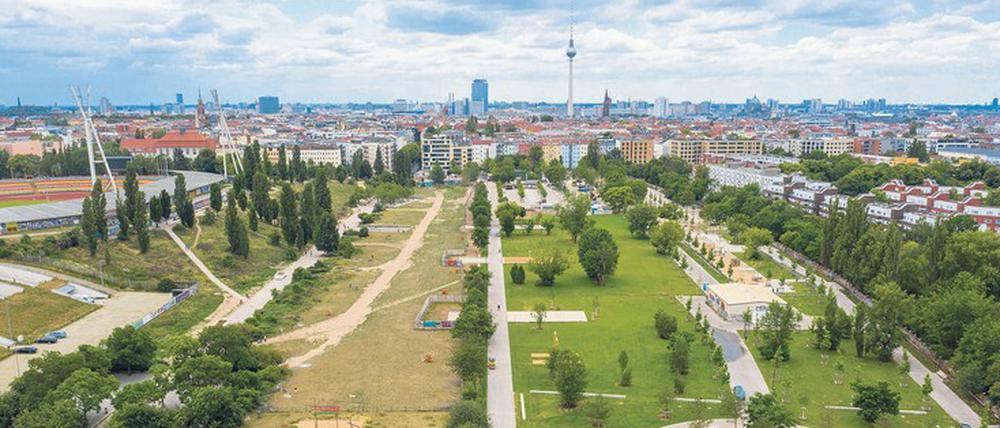 Im Mauerpark dagegen sollen neue Bäume wachsen. Auch das ist ein Thema im Pankow-Newsletter.