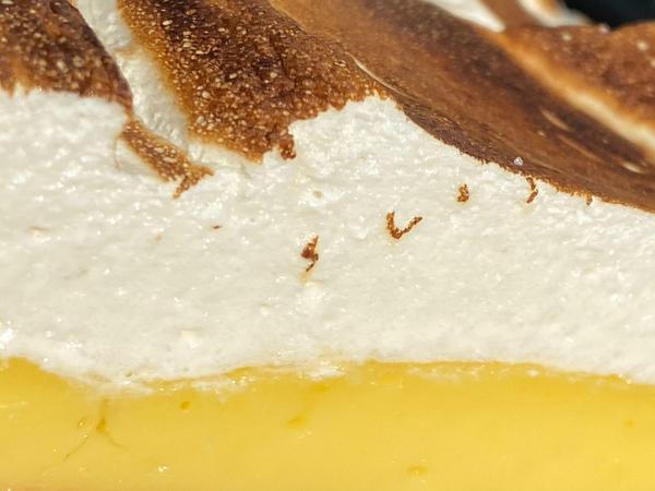 Verboten gut, deshalb hier nur ausschnittsweise zu sehen: die Zitronentarte.