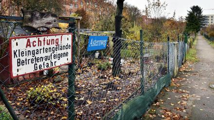 Achtung! Eine Kleingartenanlage in Berlin-Wilmersdorf, Teile wurden schon bebaut.