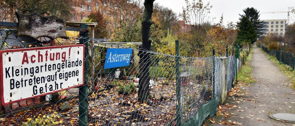 Achtung! Eine Kleingartenanlage in Berlin-Wilmersdorf, Teile wurden schon bebaut.
