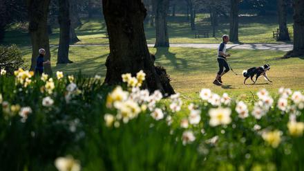 Es blüht, die Tage werden länger. Am Samstag ist Frühlingsanfang. 