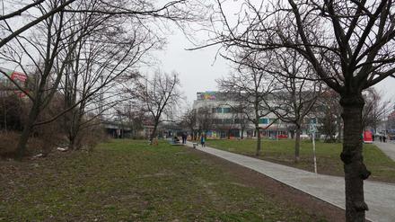Auf dieser Wiese an der Frankfurter Allee soll der "Common Space" entstehen. 