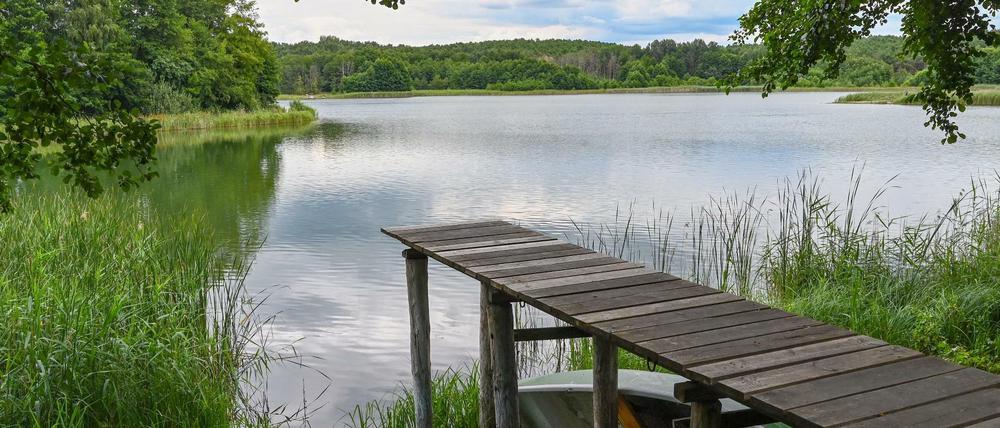 Lange Beine. Der Bootssteg am Pinnower See entfernt sich Jahr für Jahr weiter von der Wasseroberfläche.