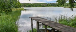 Lange Beine. Der Bootssteg am Pinnower See entfernt sich Jahr für Jahr weiter von der Wasseroberfläche. 