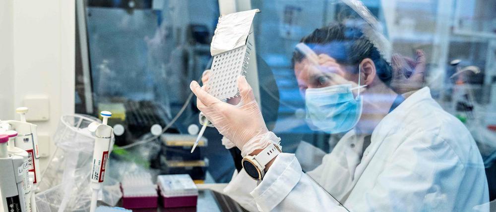 Die Mutation B.1.1.7 wurde zum ersten Mal in britischen Laboren nachgewiesen.