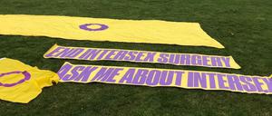 Im Bundestag wurde in dieser Woche eine wichtige Entscheidung getroffen.