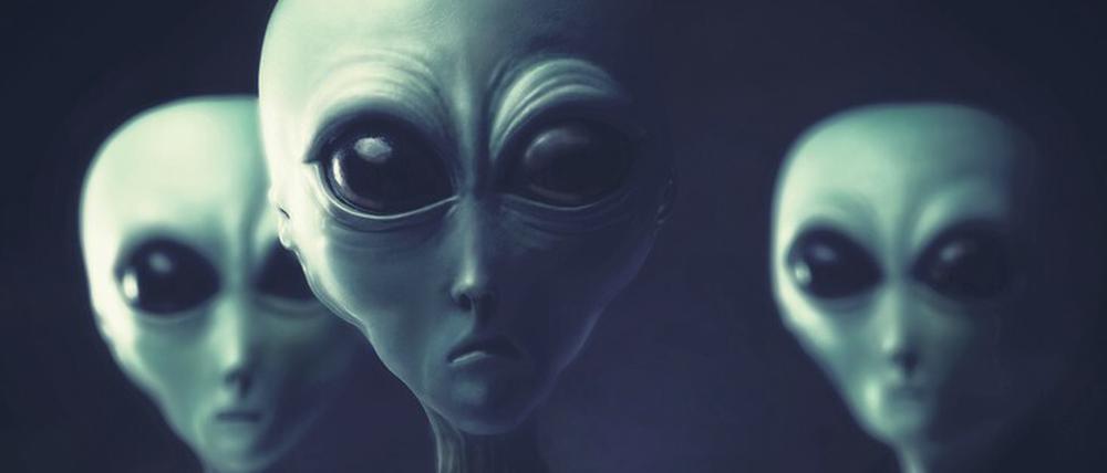 Wahre Schönheit kommt von innen. Ein nicht von Avi Loeb autorisiertes Alien-Trio unterwegs.