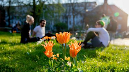 Passanten entspannen sich in Berlin vom Corona-Stress auf einer Wiese.