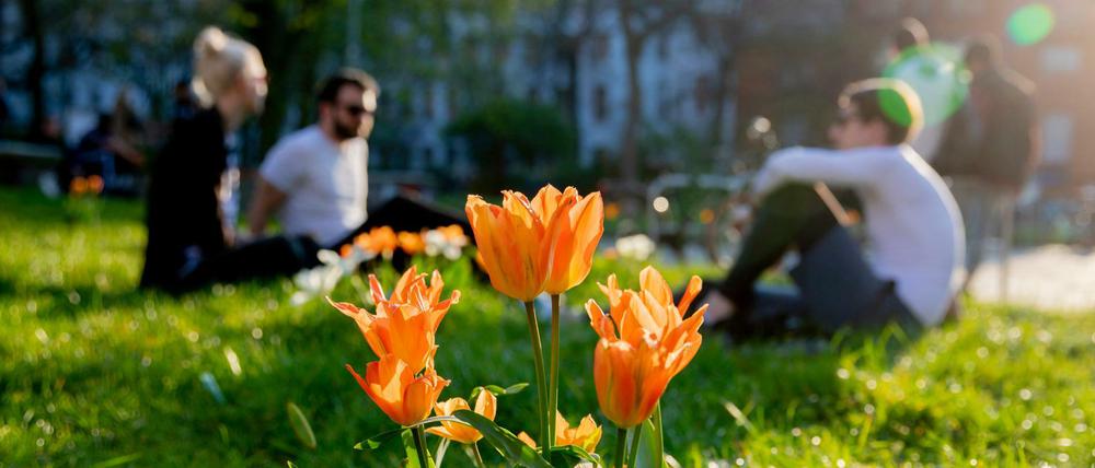 Passanten entspannen sich in Berlin vom Corona-Stress auf einer Wiese.