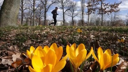 Das warme Wetter lockt die Berliner raus in die Natur, wie hier zum Joggen in den Volkspark Friedrichshain.