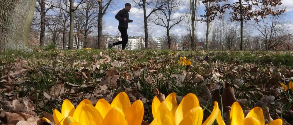 Das warme Wetter lockt die Berliner raus in die Natur, wie hier zum Joggen in den Volkspark Friedrichshain.
