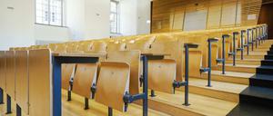 An der Hochschule allein gelassen - Rektorinnen mangelt es oft an der Unterstützung von männlichen Kollegen.