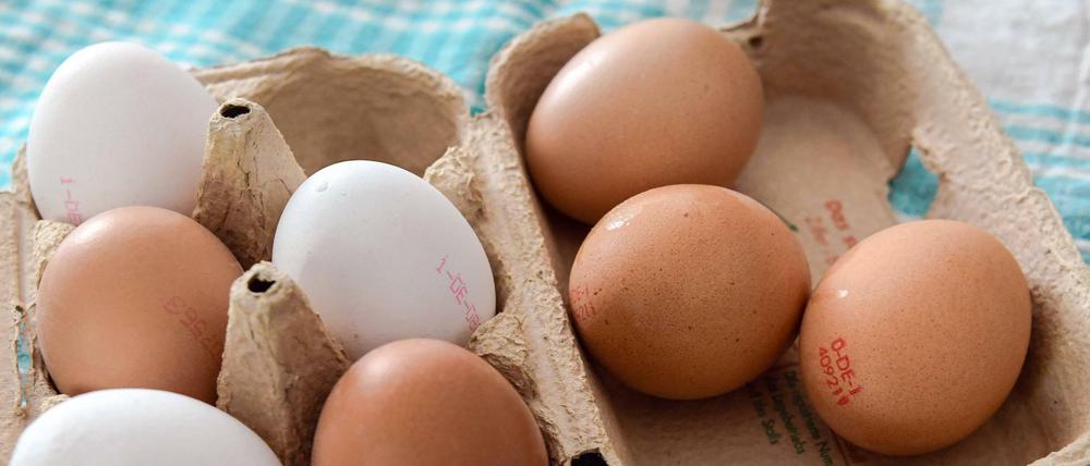 Eier aus Bio-Haltung (rechts) und von freilaufenden Hennen (links) werden knapp. Ökoeier erkennt man an der O im Stempel, Freilandeier an der 1.