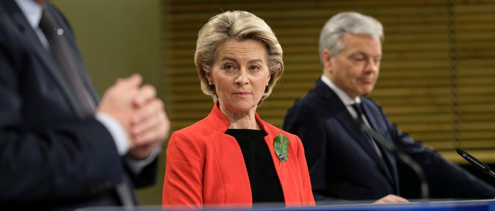 EU-Kommissionpräsidentin Ursula von der Leyen und EU-Justizkommissar Didier Reynders (r.).