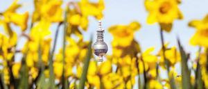 Ostern steht vor der Tür - in den Newslettern geben wir Tipps für das Wochenende im Bezirk.